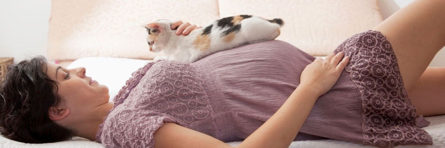 Read more about the article Terhesség vagy macskatartás? – Valóban választani kell?❓🙀❓