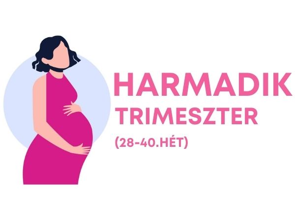 Harmadik trimeszter hétről hétre